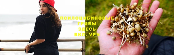 mdpv Горнозаводск