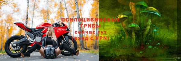 mdpv Горнозаводск